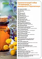 Аптечка "24 препарата" Терапевтикум D гомеопатическая в гранулах, 24x4г