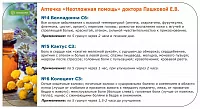 Аптечка доктора Пашковой Е.В. С3-С6 №6 "Неотложная помощь" гомеопатическая в гранулах, 6х10 гр